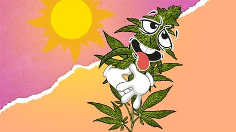 How Much Water Does a Cannabis Plant Need?