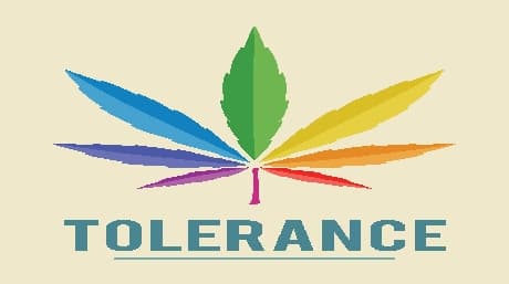 Is it time for a tolerance break