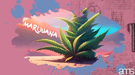 The Ultimate Marijuana Grow Guide: Cultivate with Confidence