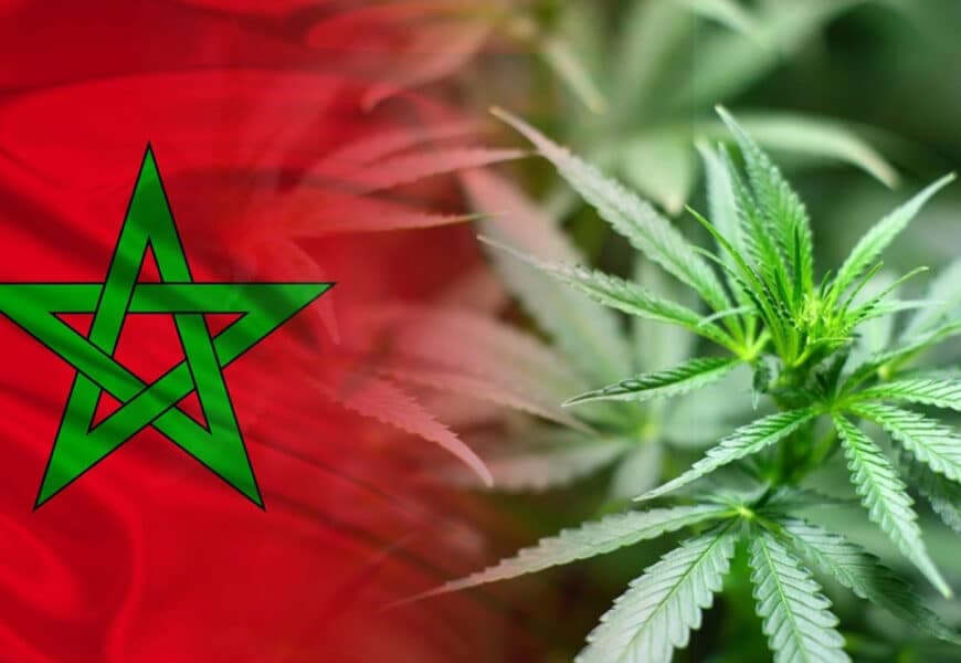 Morocco Legalize Beldia Cultivation!