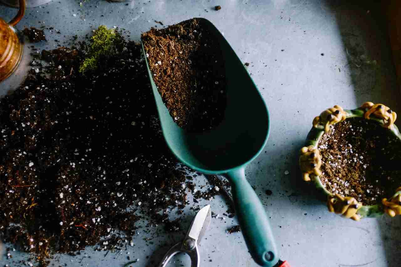 How to use compost tea for cannabis