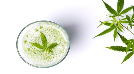 The best hemp smoothie recipe from AMS