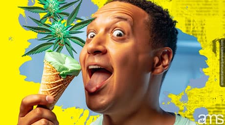 Cannabis Ice Cream: Elevate Your Summer Bliss