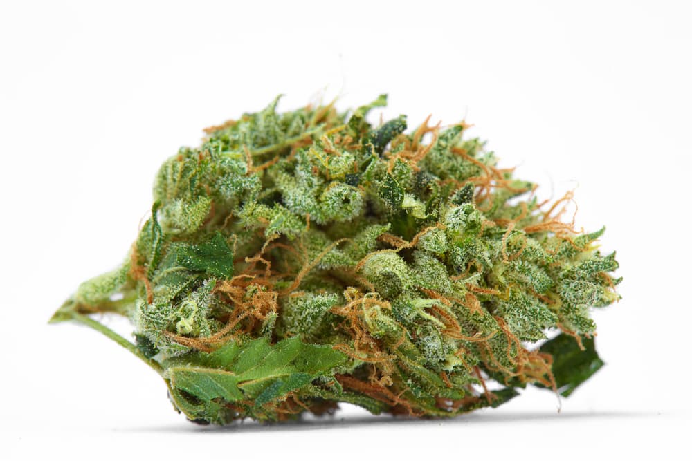 Green Crack Weed: A Complete Guide to This Energetic Strain
