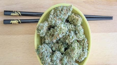 What To Do When You’re Too High On Marijuana