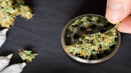 The different types of weed grinders