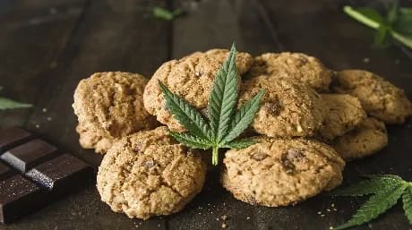 10 Cannabis Recipes to Make at Home