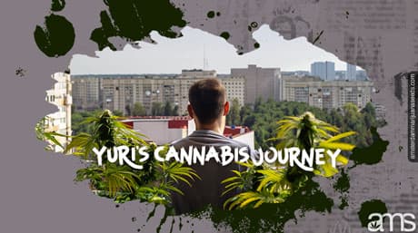 Yuri’s Cannabis Journey: From Seed to Harvest