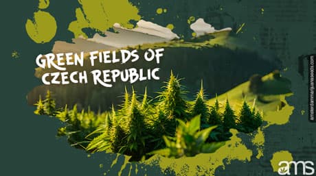 Exploring the Green Fields of Czech Republic