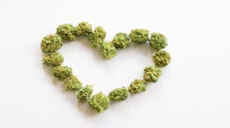 Boost Your Marijuana Yield: Tips on Fertilizers for Bountiful Harvests