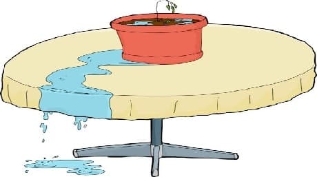 Overwatering your plants will lead to root rot