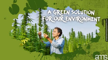 Industrial Hemp | Green Solution for Environment and Industries