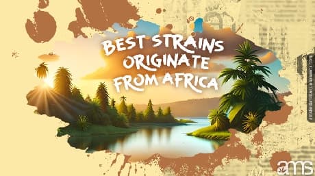 African Strains and Pure Landrace Genetics