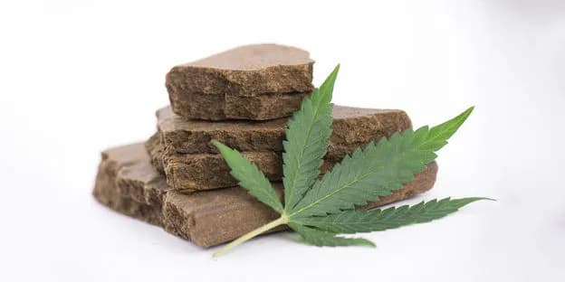 Hashish: How to identify It’s quality