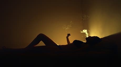 Determine the gender of cannabis plants