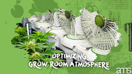 Optimizing Grow Room Atmosphere: Importance of Ventilation for Cannabis