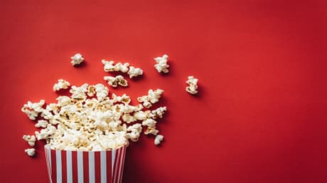 The best stoner movies to watch