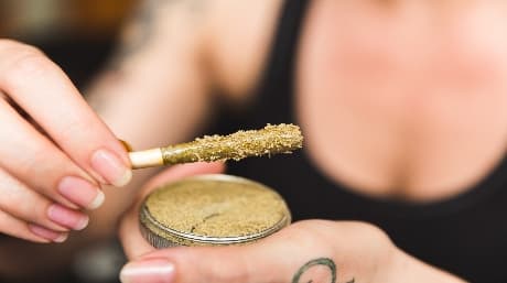 Does Kief Get You Higher Than Bud?
