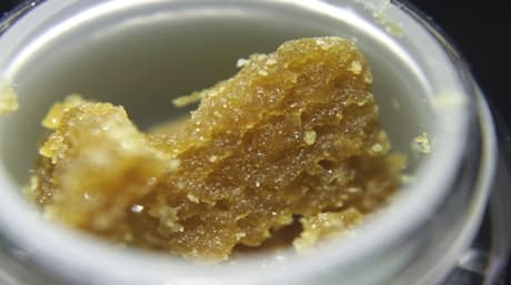 Exploring Different Types of Cannabis Concentrates