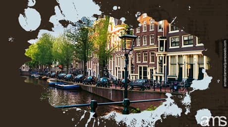 Amsterdam Seeds: History and Excellence in Cannabis Genetics