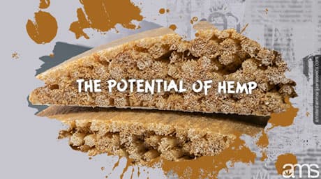 Hemp: Sustainable Construction and Beyond