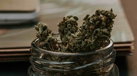 How Much for A Quarter Ounce Of Weed?