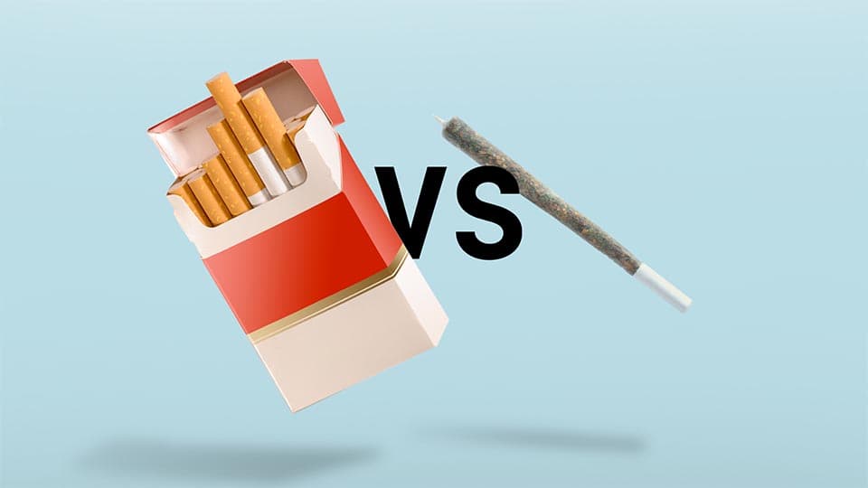 The Debate Between Tobacco and Cannabis